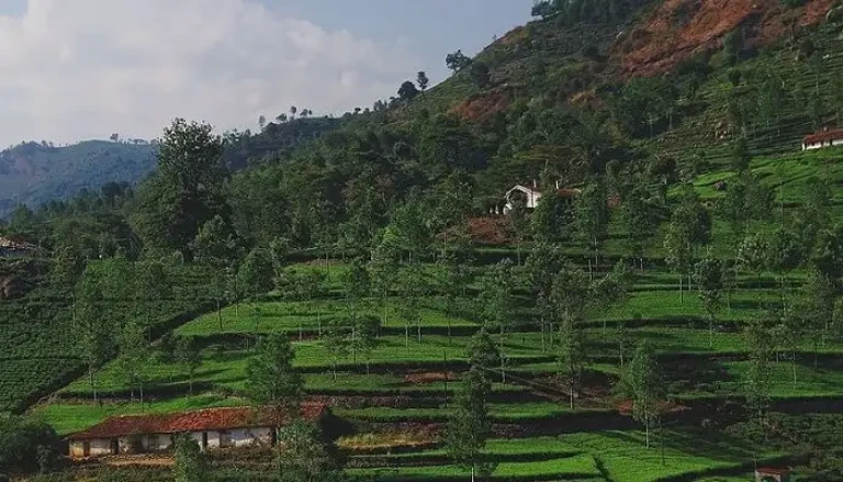 Kannur in Monsoon