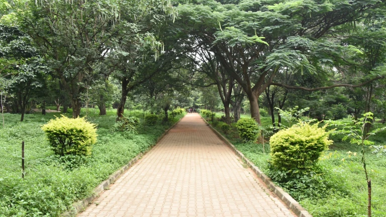 cubbon park bangalore