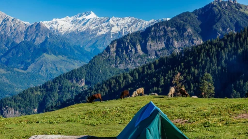 image for article 11 New Eco-Tourism Spots Coming to Himachal Pradesh