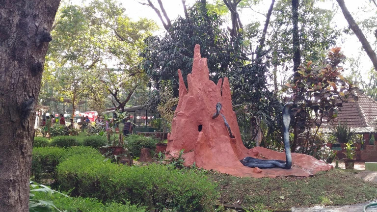 Snake Park and Parassinikadavu Kannur