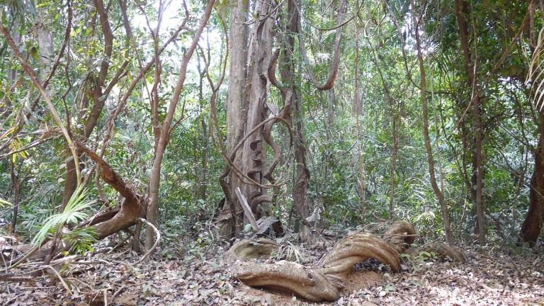 Bhagwan Mahavir Wildlife Sanctuary, Goa