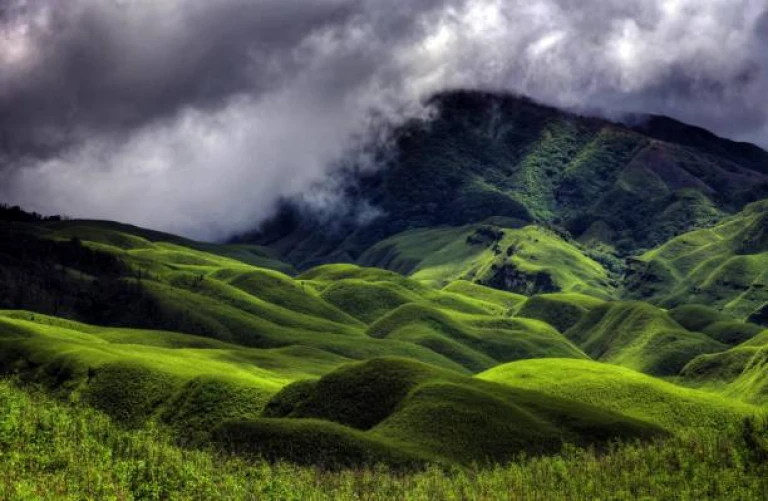 Nagaland landscape