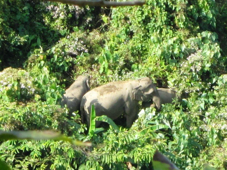 Ntangki Wildlife Sanctuary