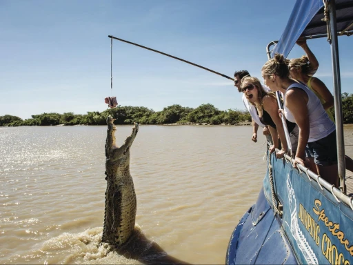 image for article Unique Activities Only in Darwin – Cage of Death, Jumping Crocodile Cruise, Aboriginal Art & More!