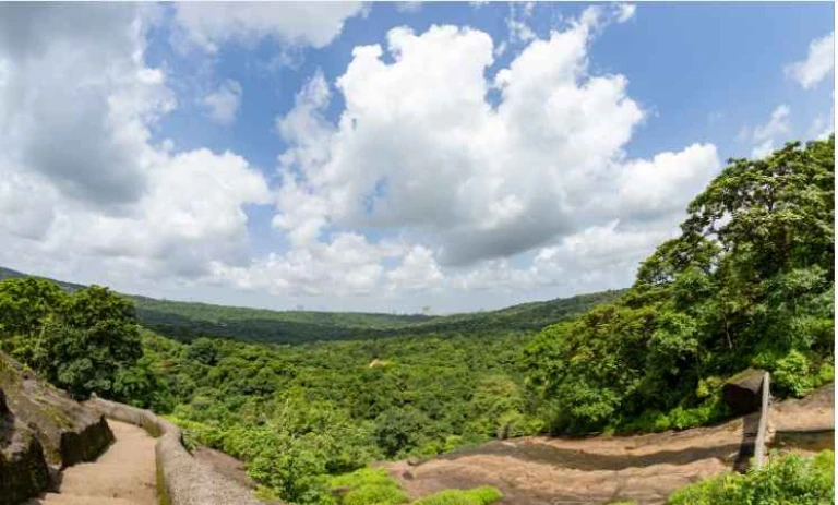 Sanjay Gandhi National Park tropical forest